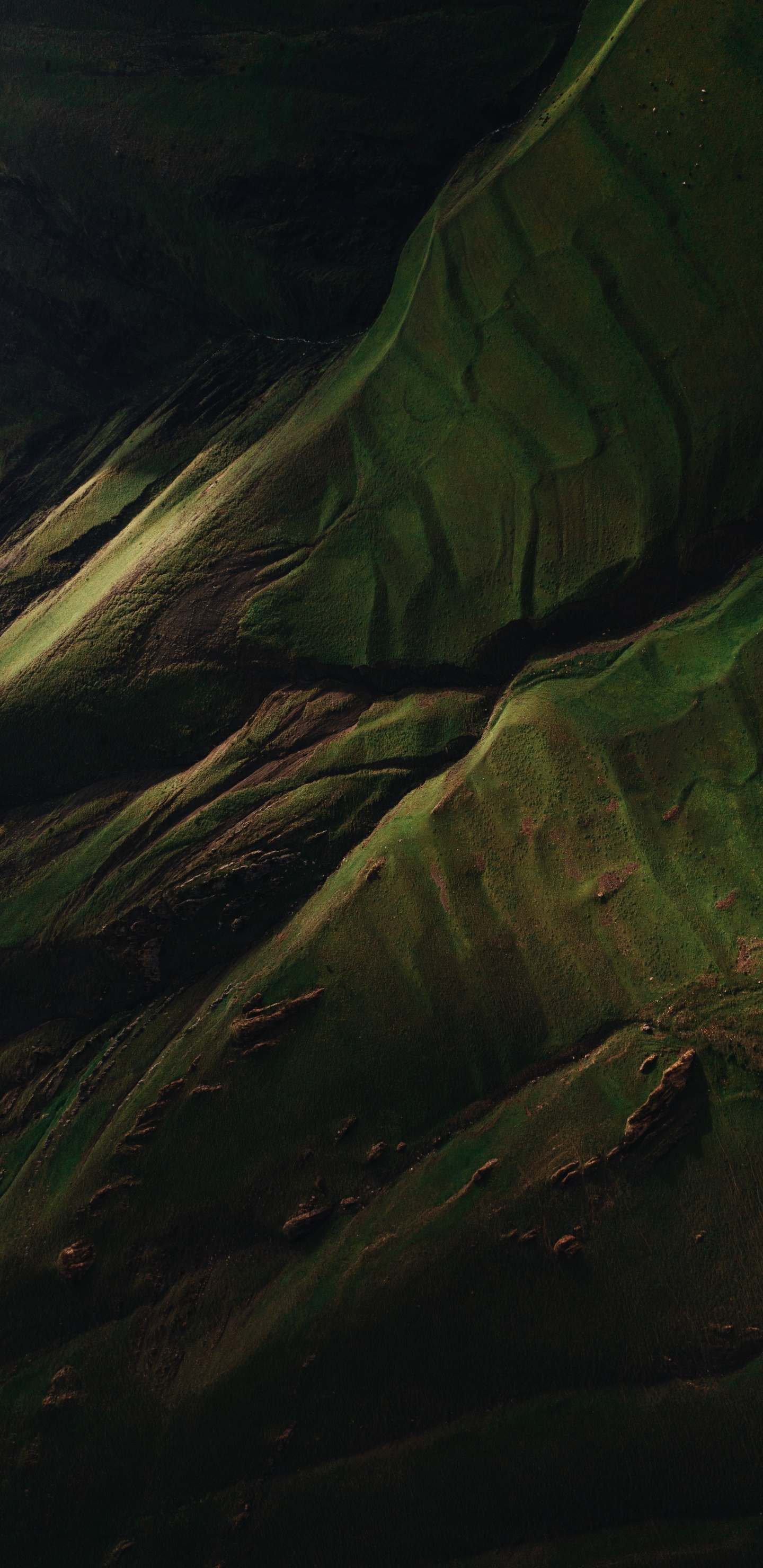 Обои вода, древесина, коричневый цвет, наземное растение, пейзаж в разрешении 1440x2960