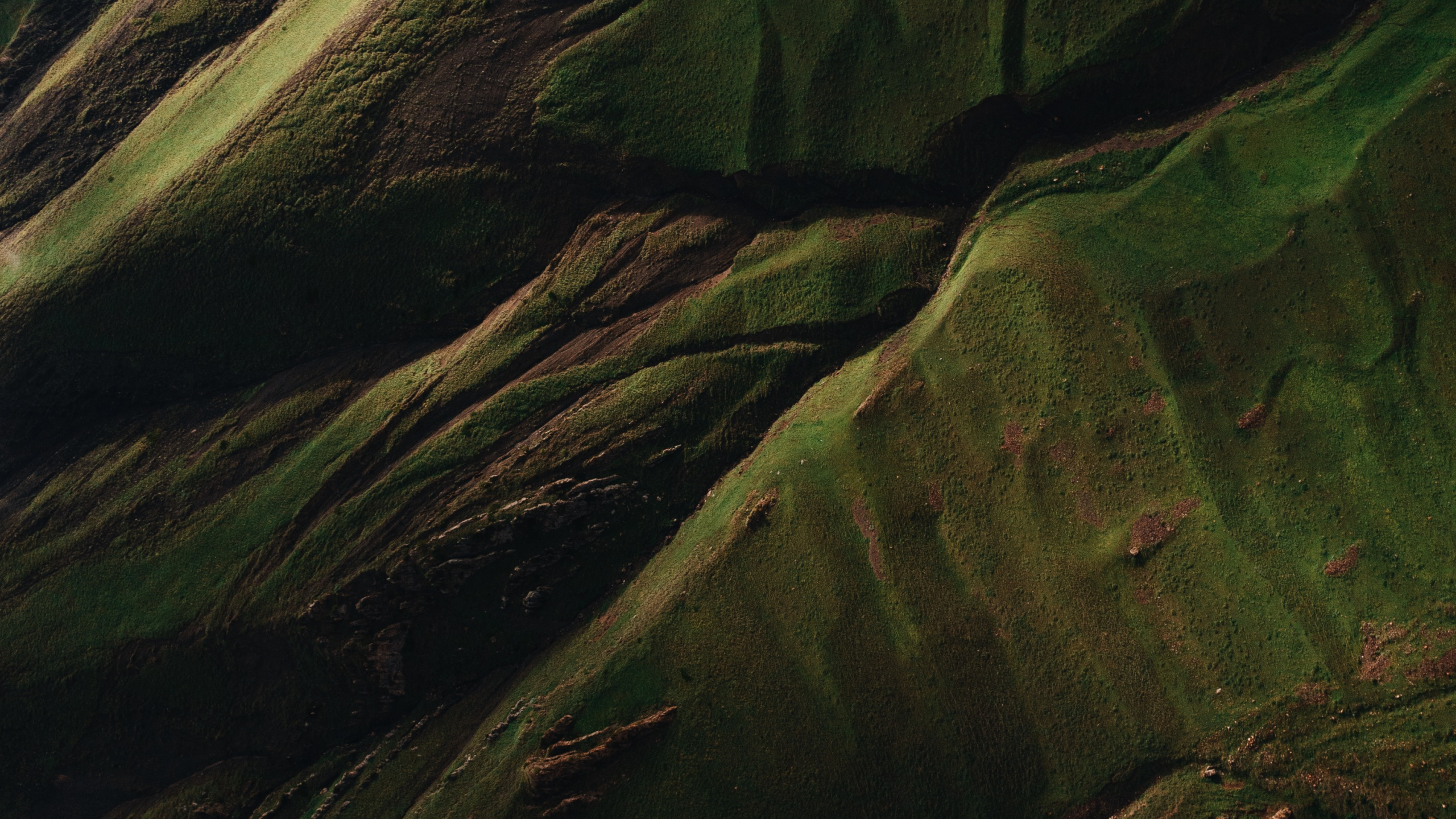 Обои вода, древесина, коричневый цвет, наземное растение, пейзаж в разрешении 2560x1440