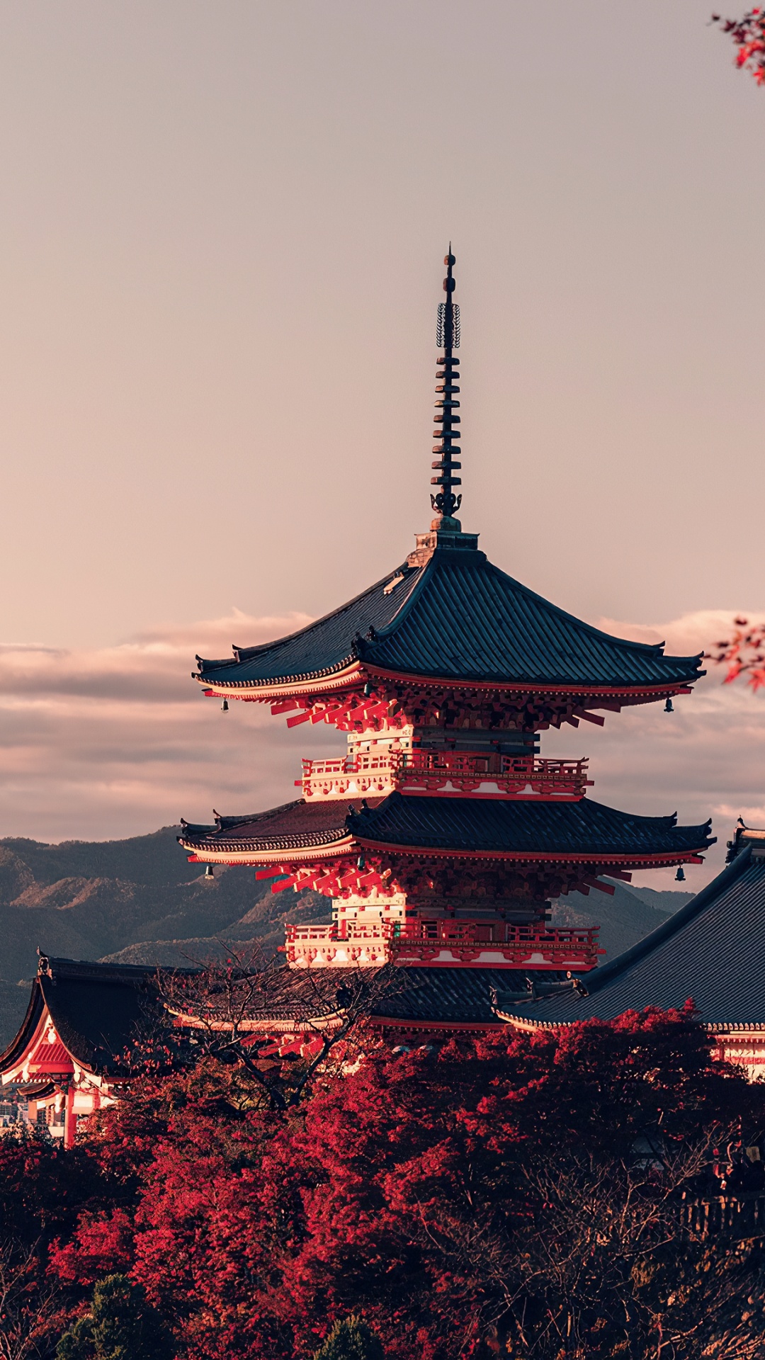 Обои Ясака, облако, здание, растение, природный ландшафт в разрешении 1080x1920