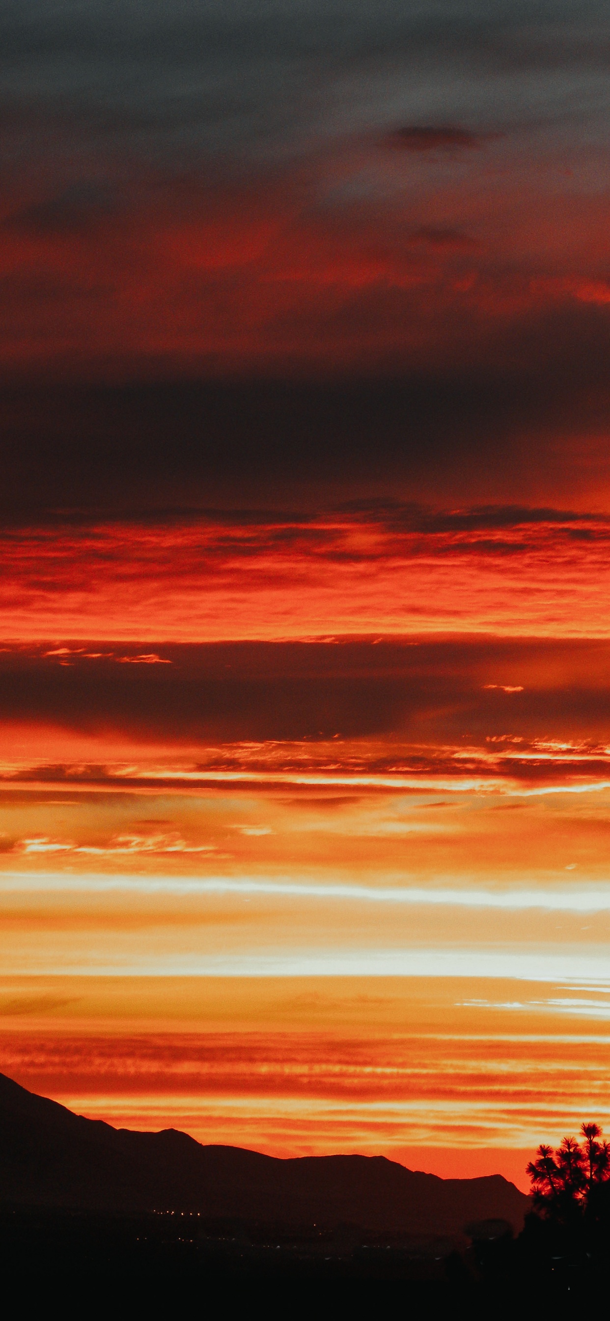 Обои закат, восход солнца, послесвечение, красный цвет, горизонт в разрешении 1242x2688