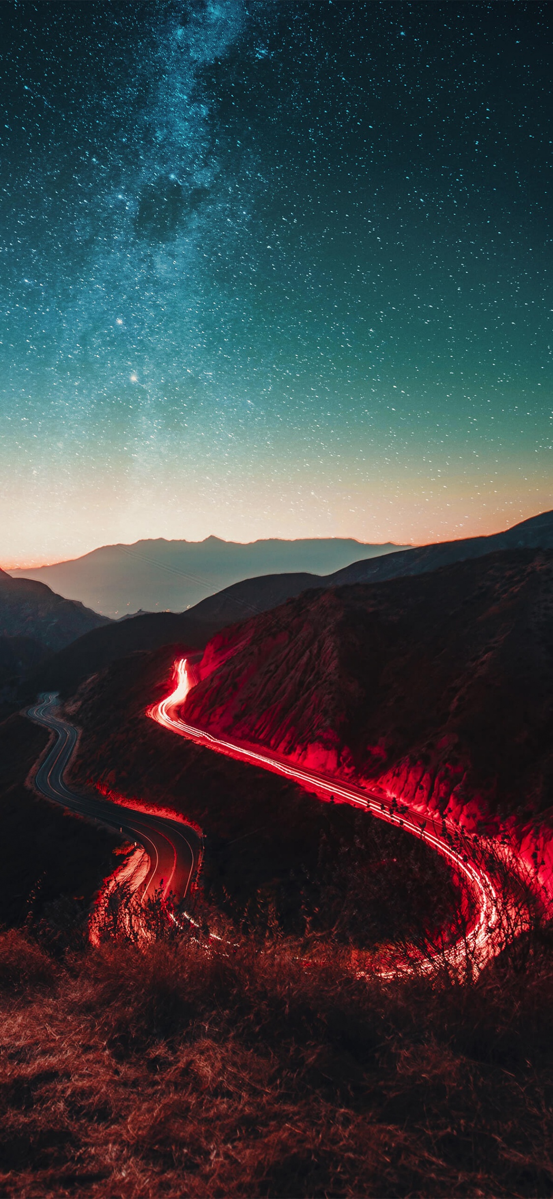 Обои не боится мечтать, атмосфера, природа, природный ландшафт, растение в разрешении 1125x2436