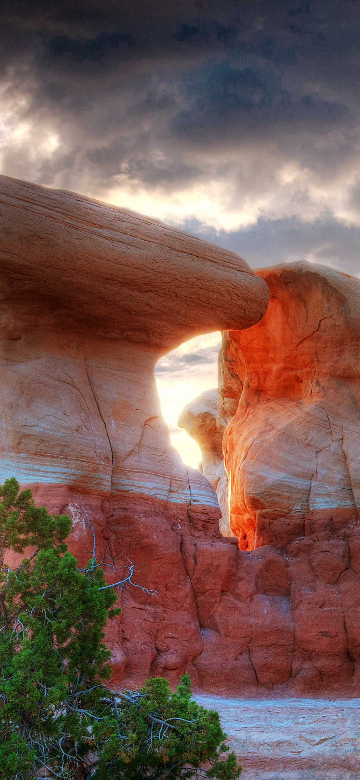 Обои рок, формирование, каньон, арка, национальный парк в разрешении 1242x2688