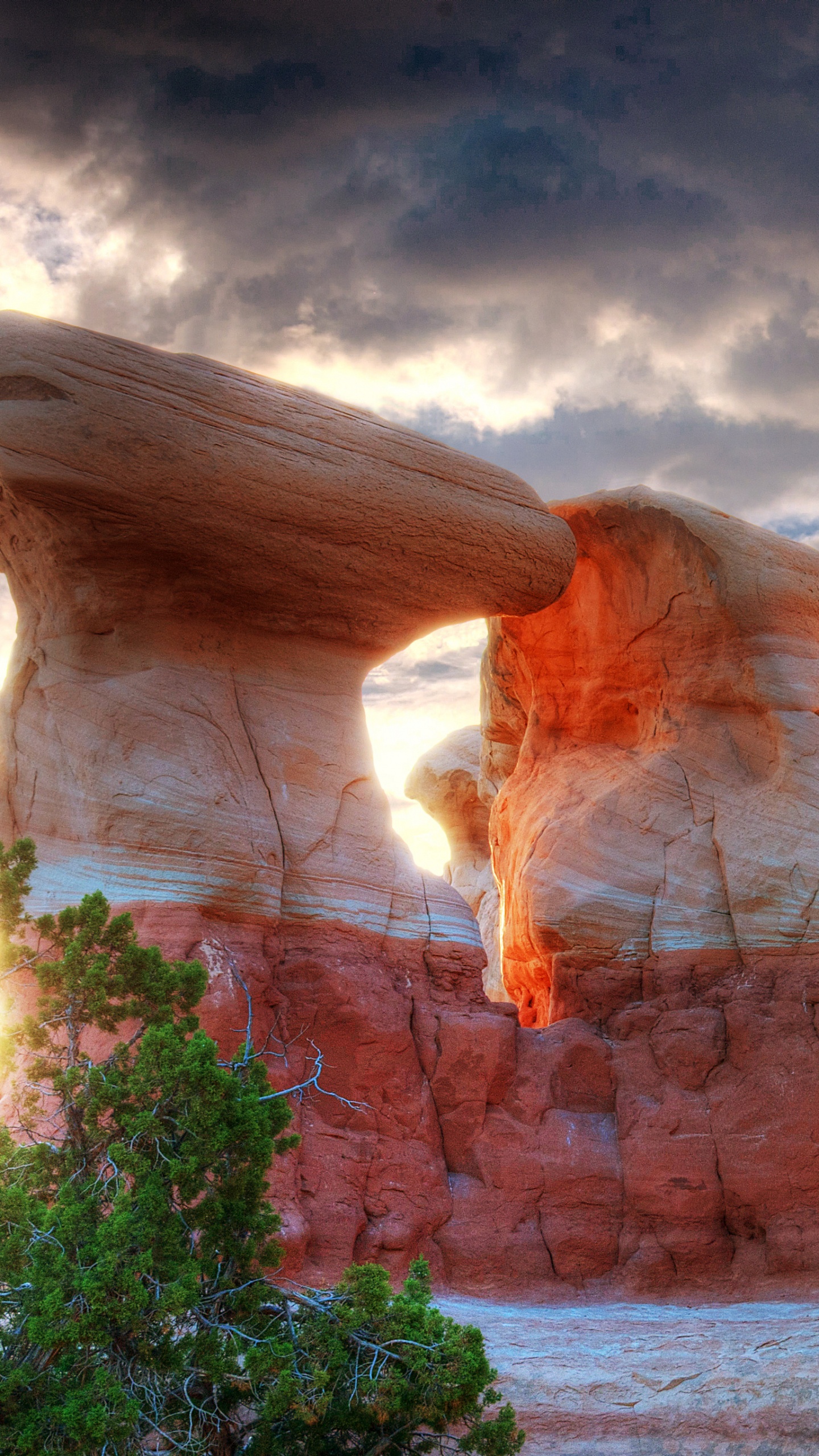 Обои рок, формирование, каньон, арка, национальный парк в разрешении 1440x2560