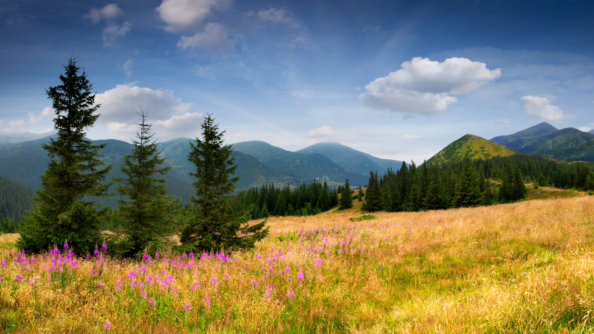 Обои пейзаж, природа, горный рельеф, луг, сенокосное угодье в разрешении 1920x1080