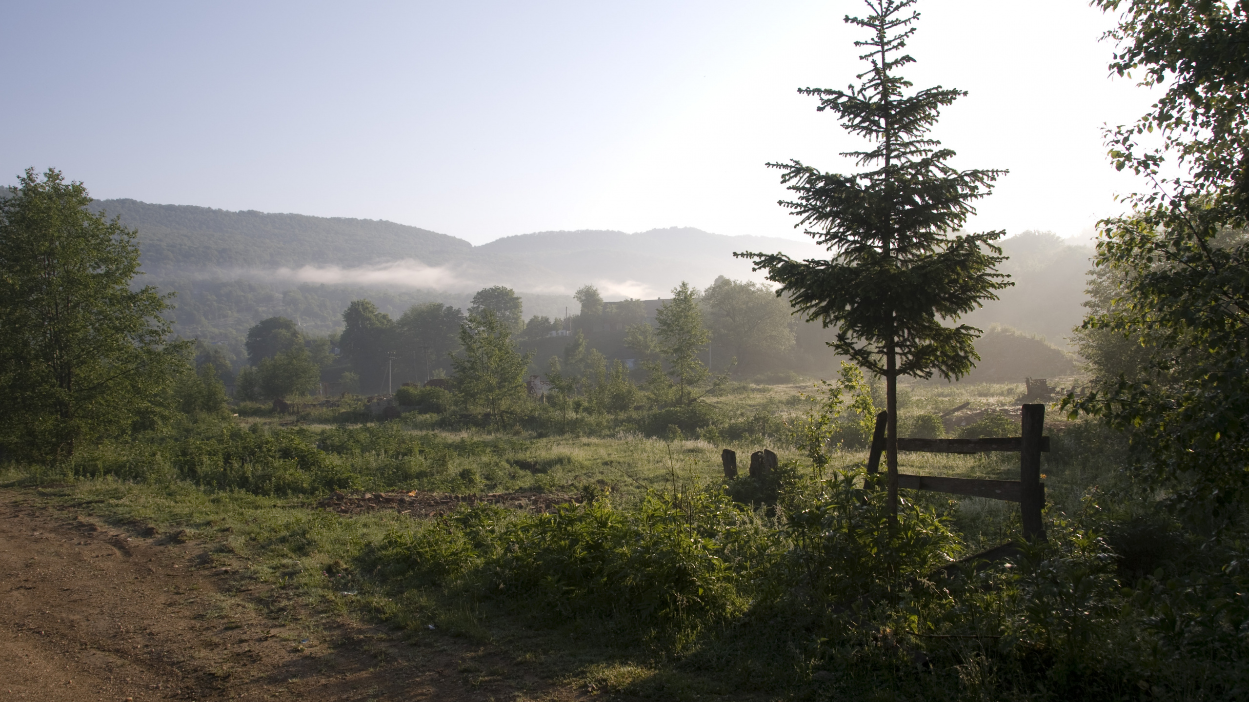Обои пейзажная живопись, пейзаж, природа, дерево, дикая местность в разрешении 2560x1440