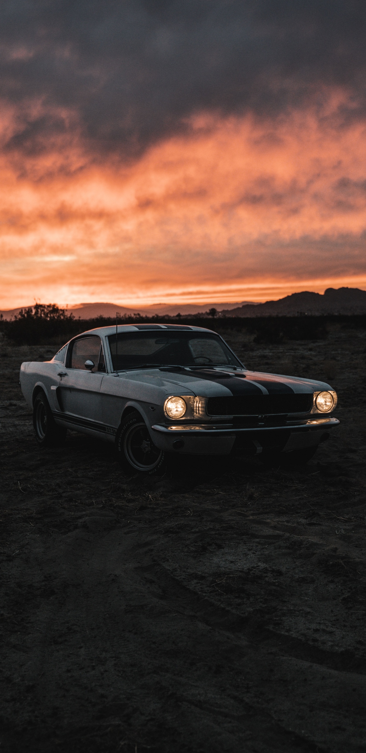 Обои отражение, легковые автомобили, облако, шина, колесо в разрешении 1440x2960