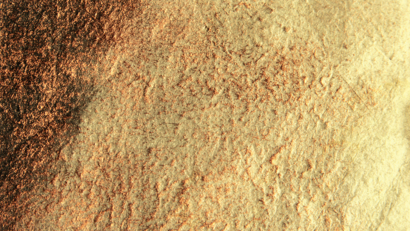 Обои почва, древесина, дерево, трава, солома в разрешении 1366x768