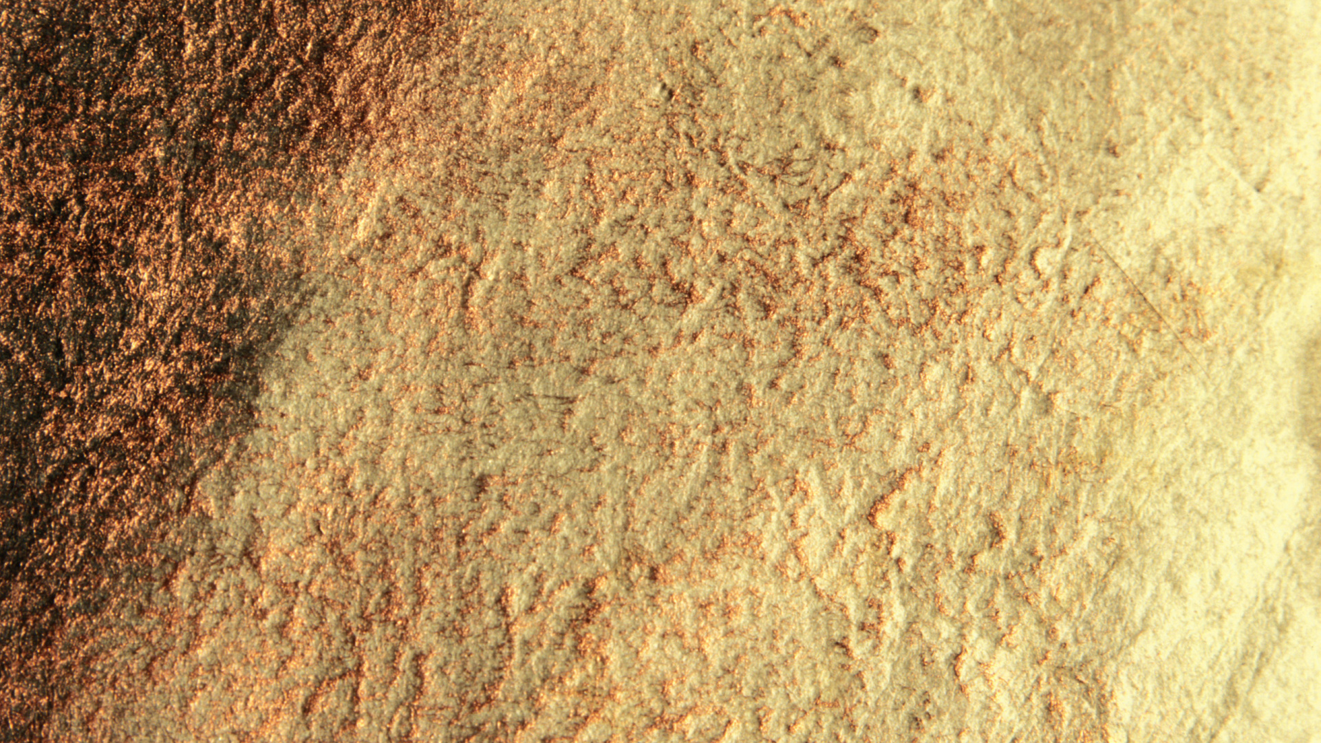 Обои почва, древесина, дерево, трава, солома в разрешении 1920x1080