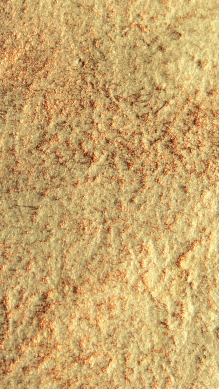 Обои почва, древесина, дерево, трава, солома в разрешении 750x1334