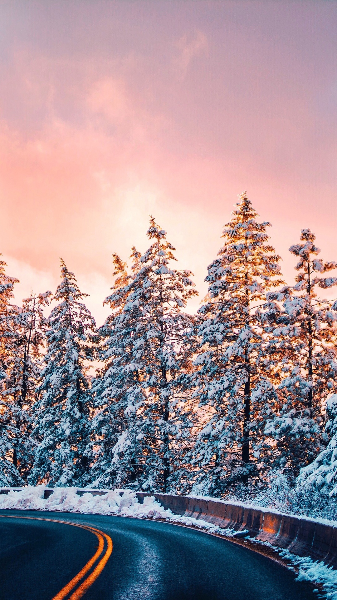 Обои дикая местность, сосна, небо, пейзажи гор, замораживание в разрешении 1080x1920