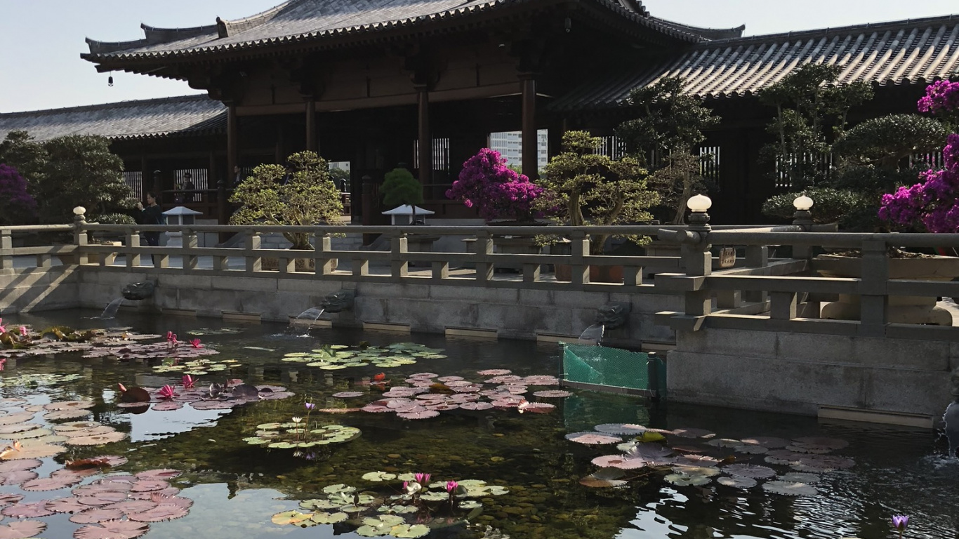 Обои китайская архитектура, туризм, вода, достопримечательность, водоем в разрешении 1366x768