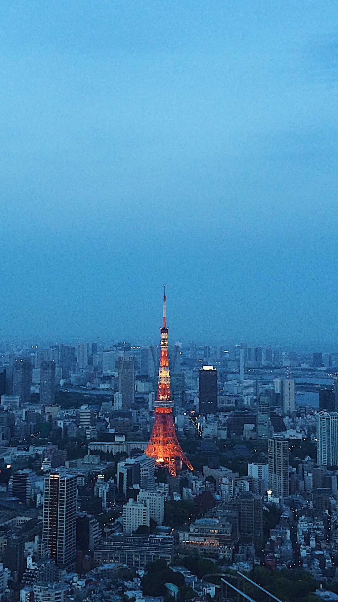 Обои Токио, городской район, городской пейзаж, город, метрополия в разрешении 1080x1920