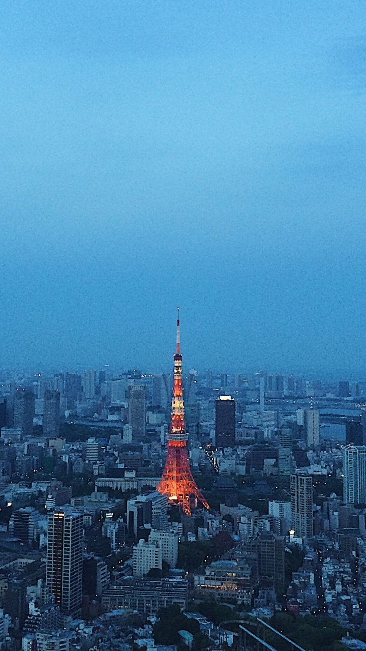 Обои Токио, городской район, городской пейзаж, город, метрополия в разрешении 720x1280