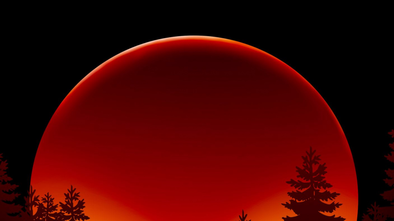 Обои лиственница, свет, силуэт, красный цвет, астрономический объект в разрешении 1366x768