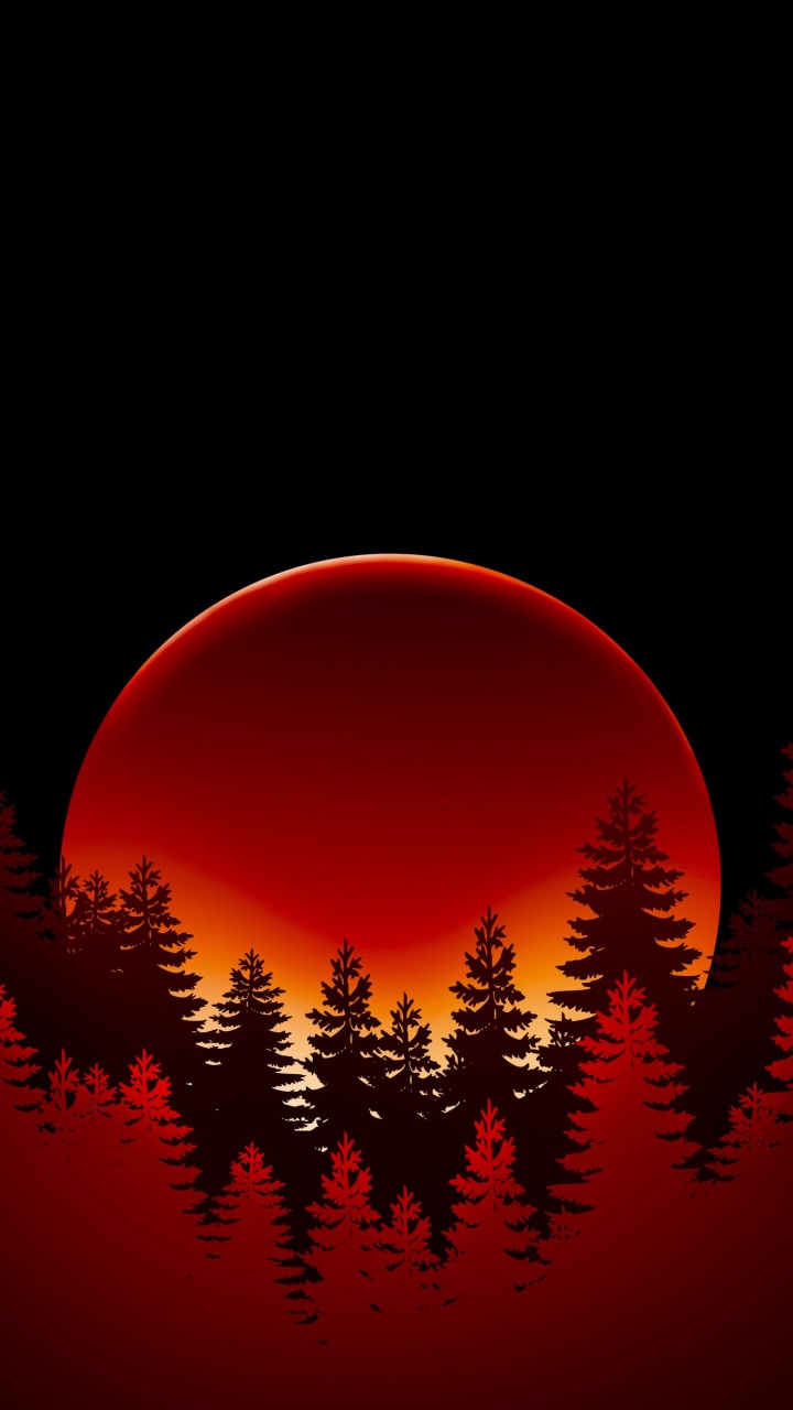 Обои лиственница, свет, силуэт, красный цвет, астрономический объект в разрешении 720x1280