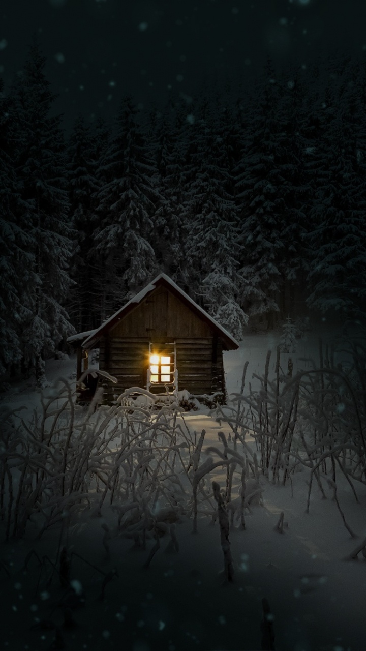 Обои зима, ночь, снег, простуда, темнота в разрешении 720x1280
