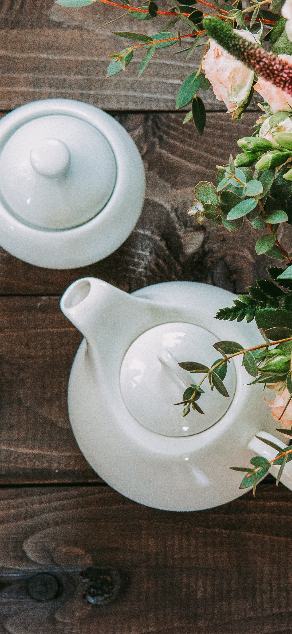 Обои чайная чашка, цветок, чашка, срезанные цветы, растение в разрешении 1242x2688