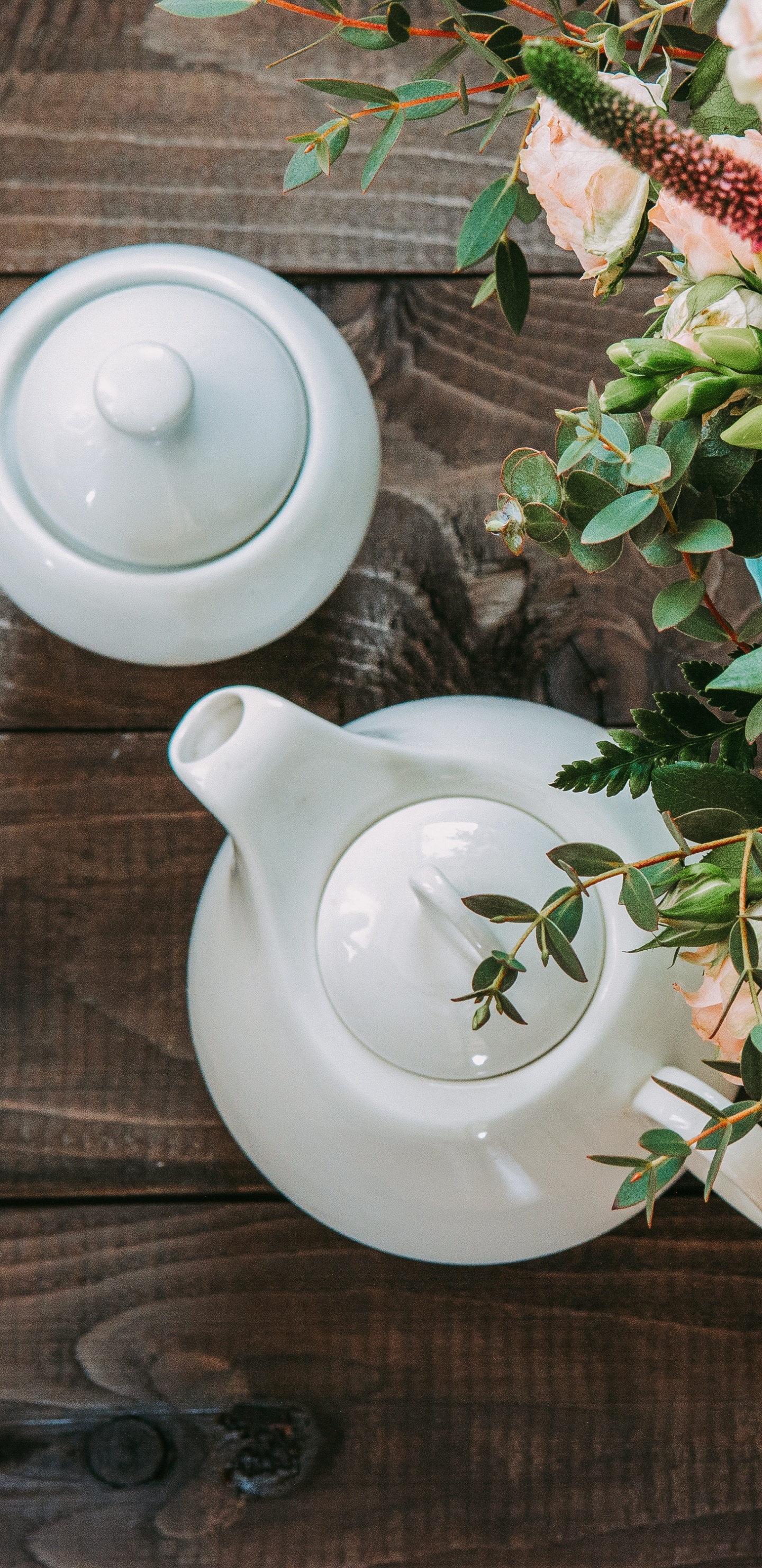 Обои чайная чашка, цветок, чашка, срезанные цветы, растение в разрешении 1440x2960