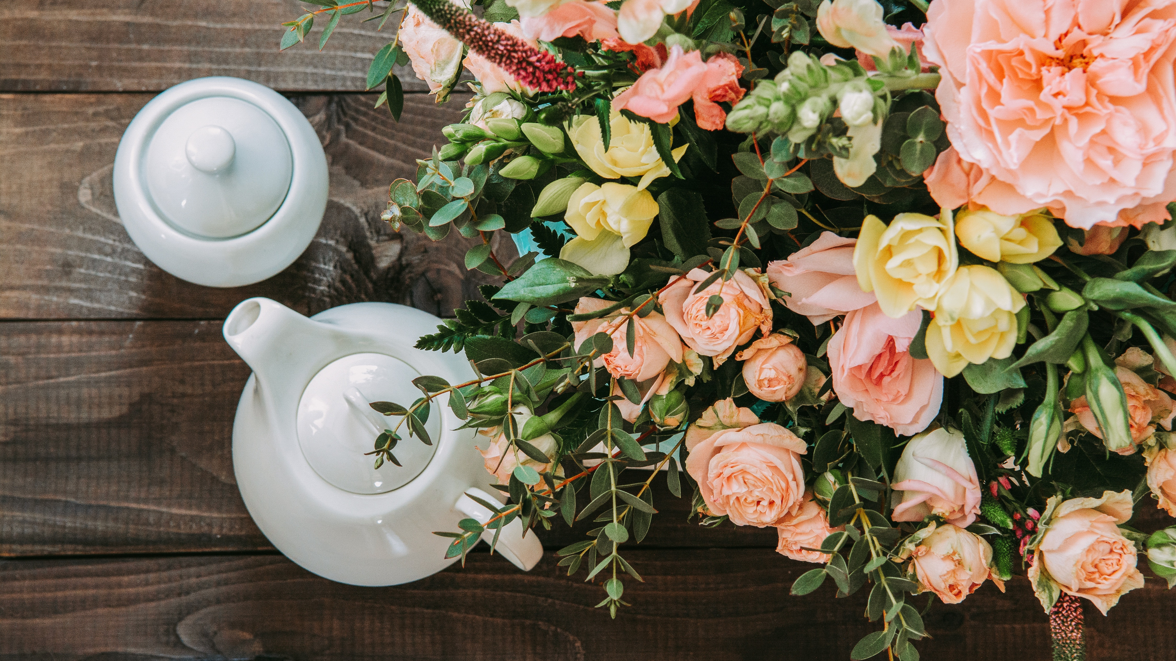 Обои чайная чашка, цветок, чашка, срезанные цветы, растение в разрешении 3840x2160