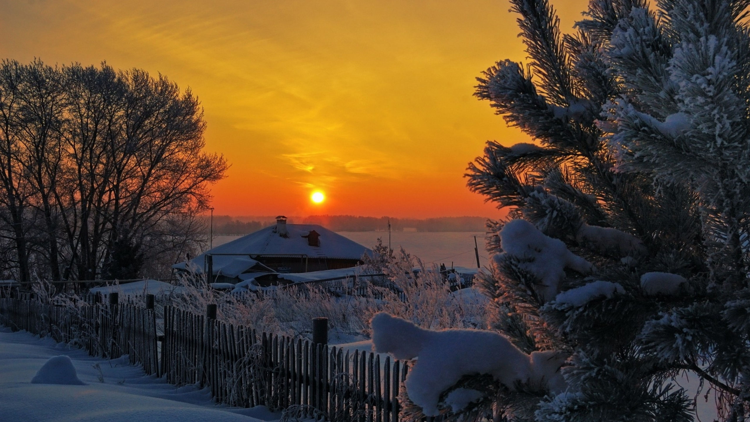 Обои снег, зима, природа, восход солнца, замораживание в разрешении 2560x1440