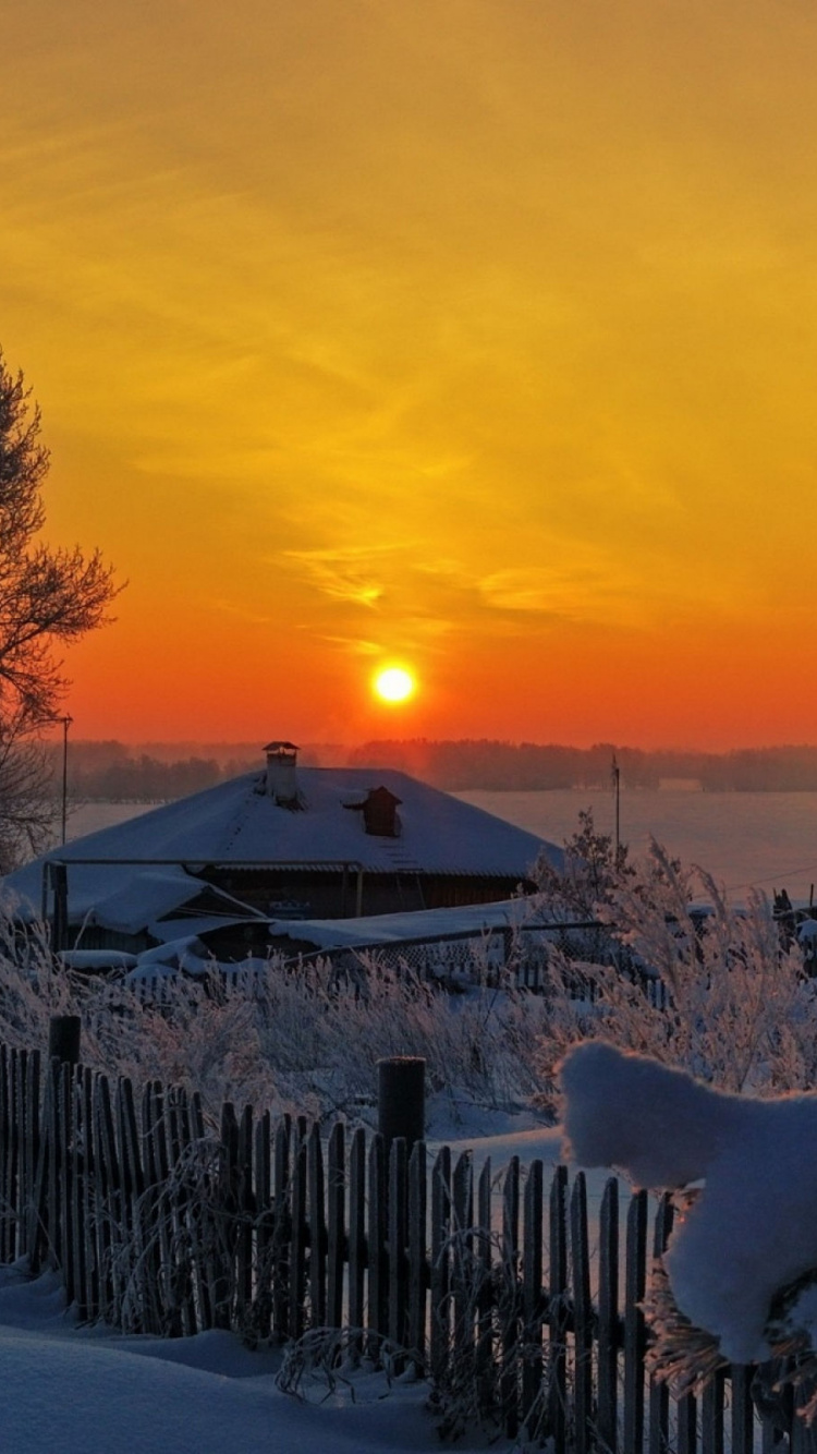 Обои снег, зима, природа, восход солнца, замораживание в разрешении 750x1334