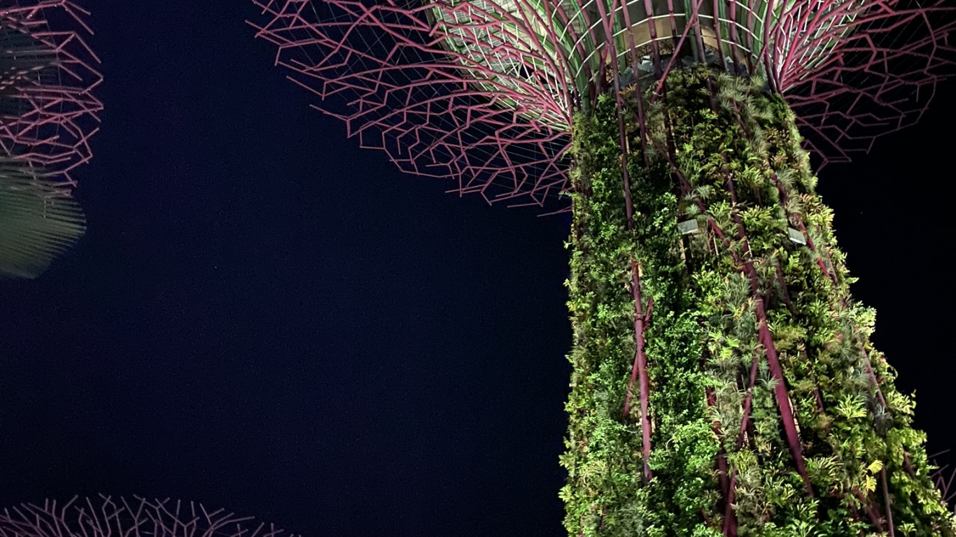 Обои Сингапур, природа, достопримечательность, биология, физика в разрешении 1366x768