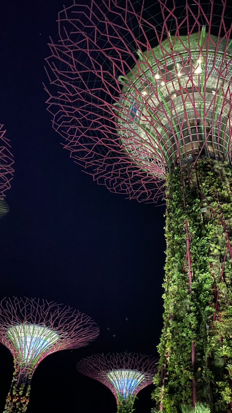 Обои Сингапур, природа, достопримечательность, биология, физика в разрешении 750x1334