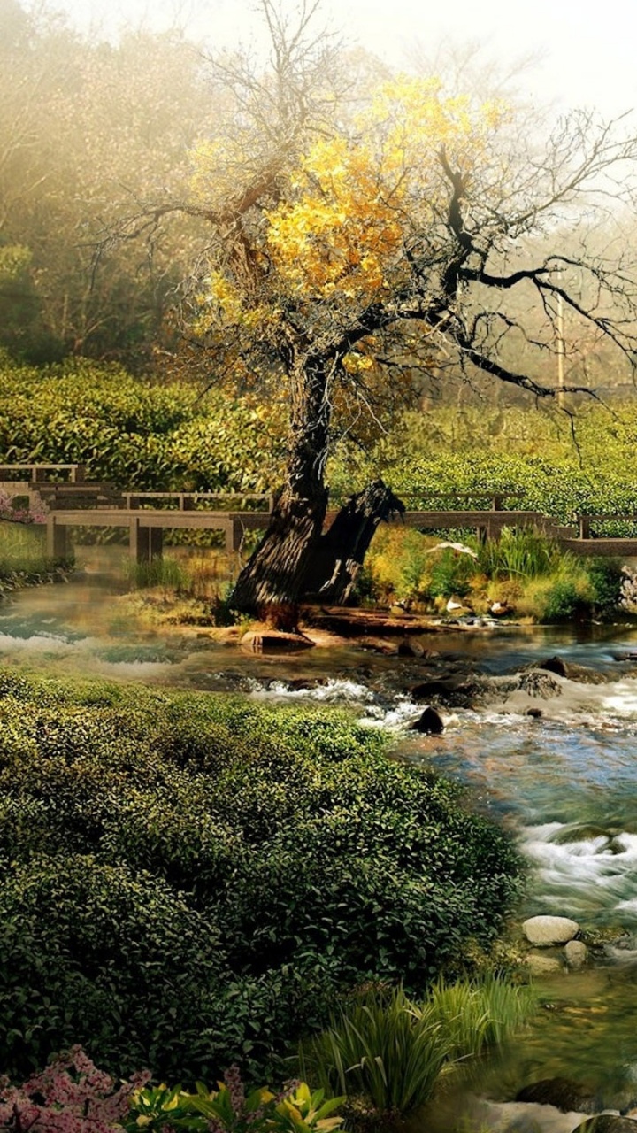 Обои пейзаж, природа, вода, природный заповедник, растительность в разрешении 720x1280