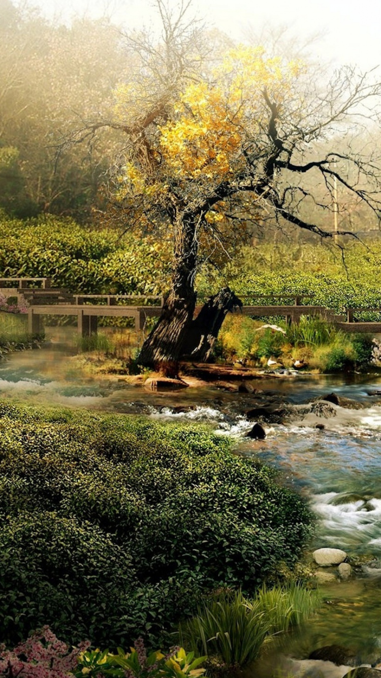 Обои пейзаж, природа, вода, природный заповедник, растительность в разрешении 750x1334