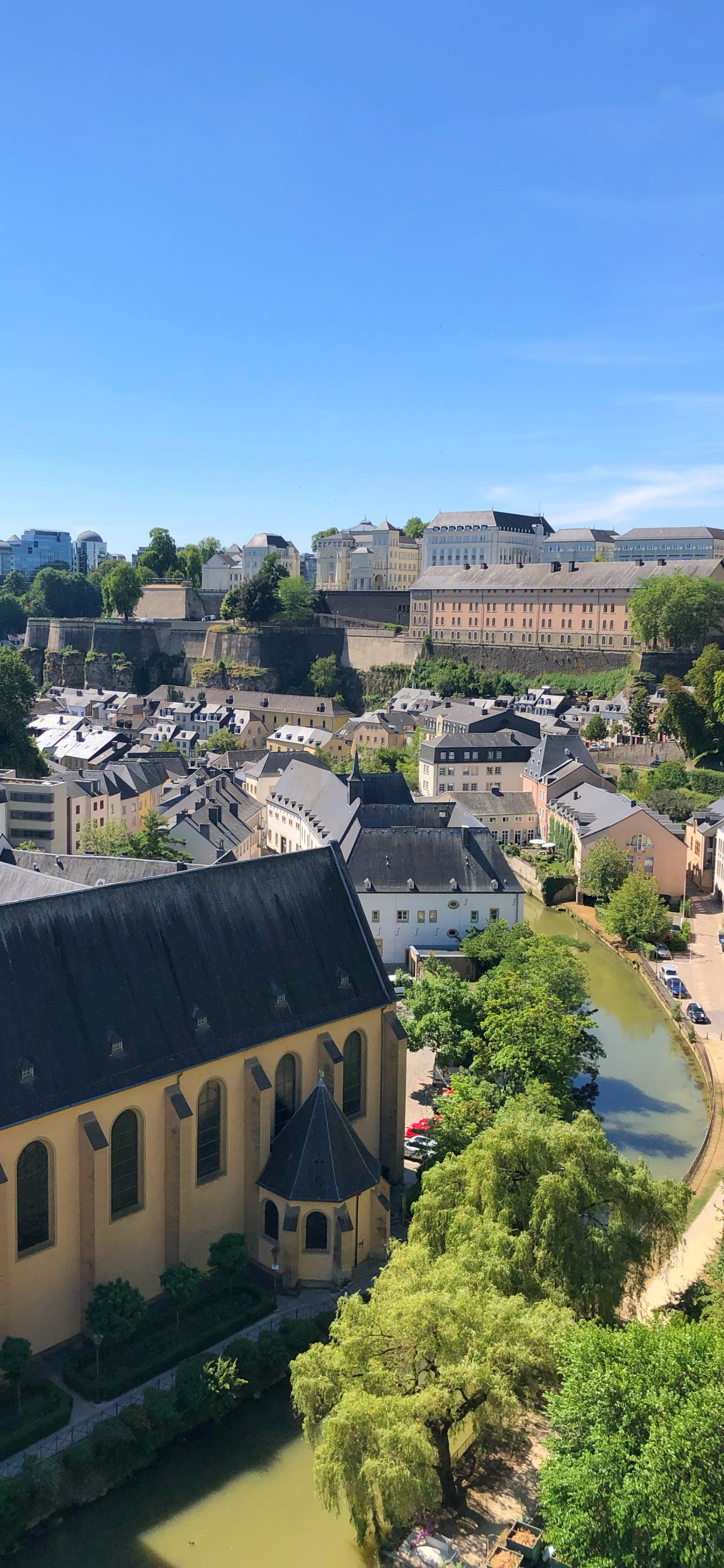 Обои грунд, Hibernian FC, окно, соседство, дерево в разрешении 1242x2688