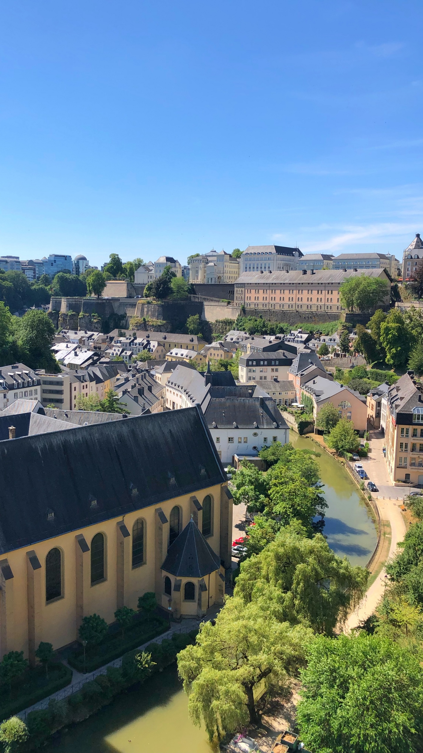 Обои грунд, Hibernian FC, окно, соседство, дерево в разрешении 1440x2560