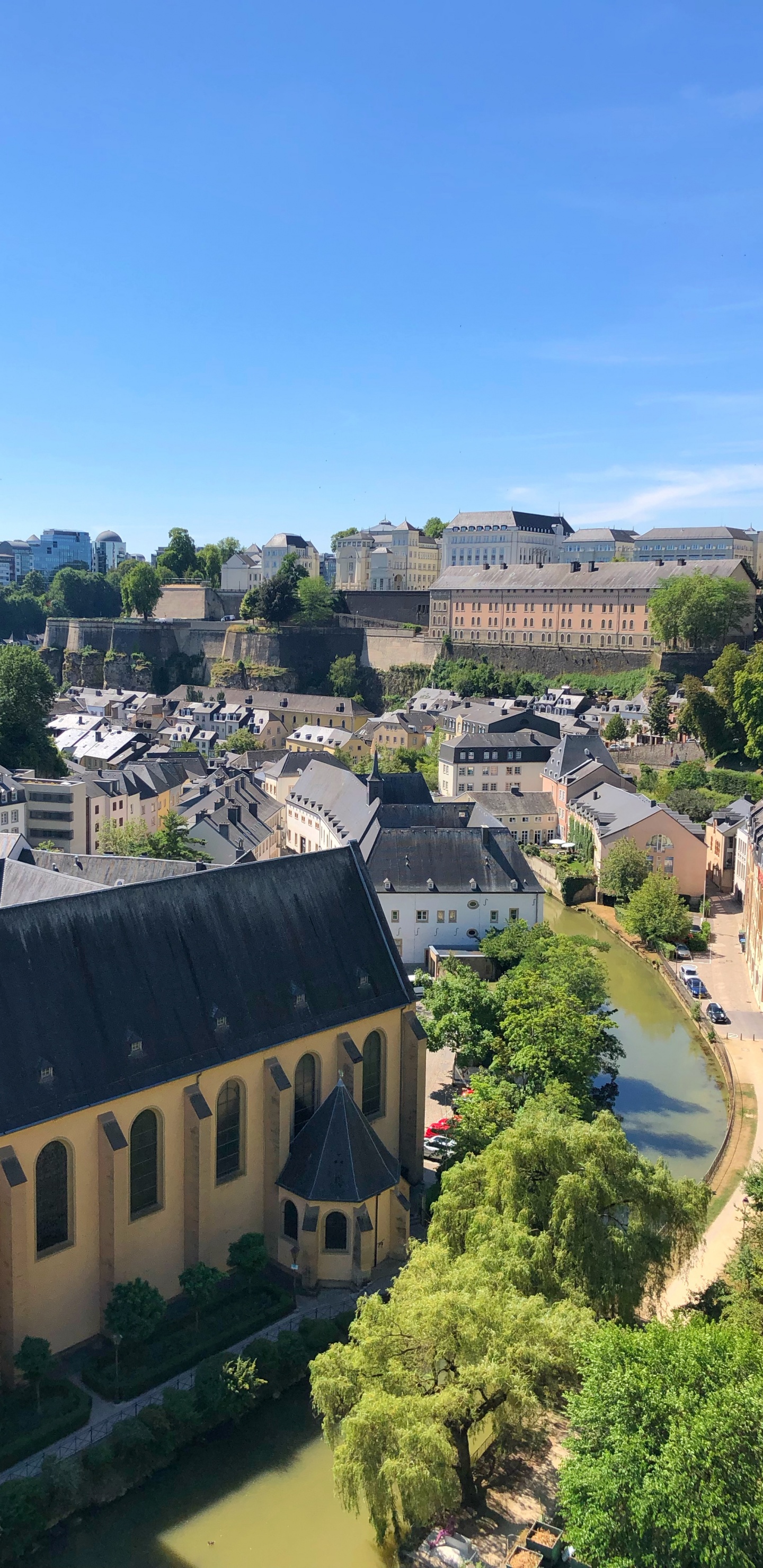 Обои грунд, Hibernian FC, окно, соседство, дерево в разрешении 1440x2960