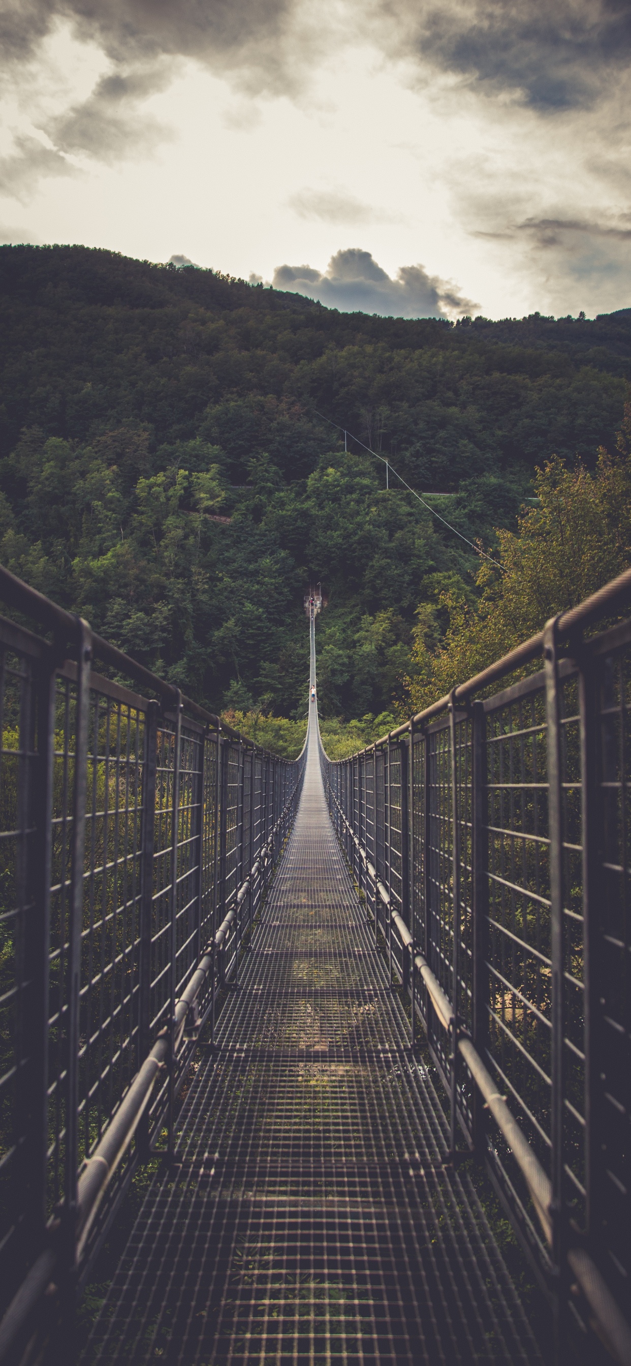 Обои мост, подвесной мост, линия, дерево, природа в разрешении 1242x2688