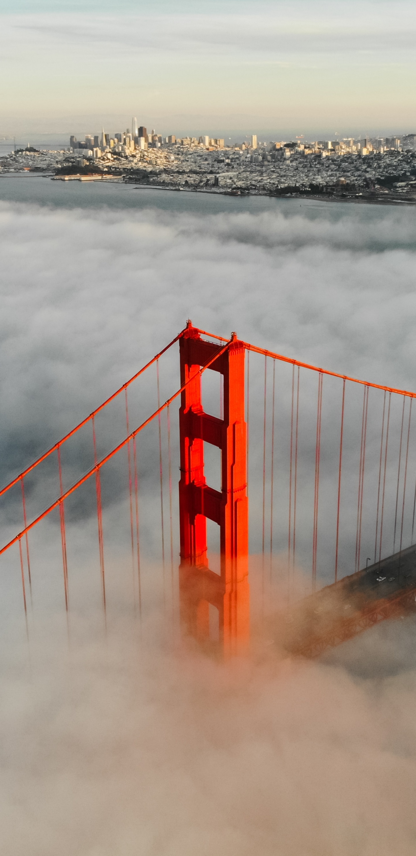 Обои вода, море, мост, волна, океан в разрешении 1440x2960