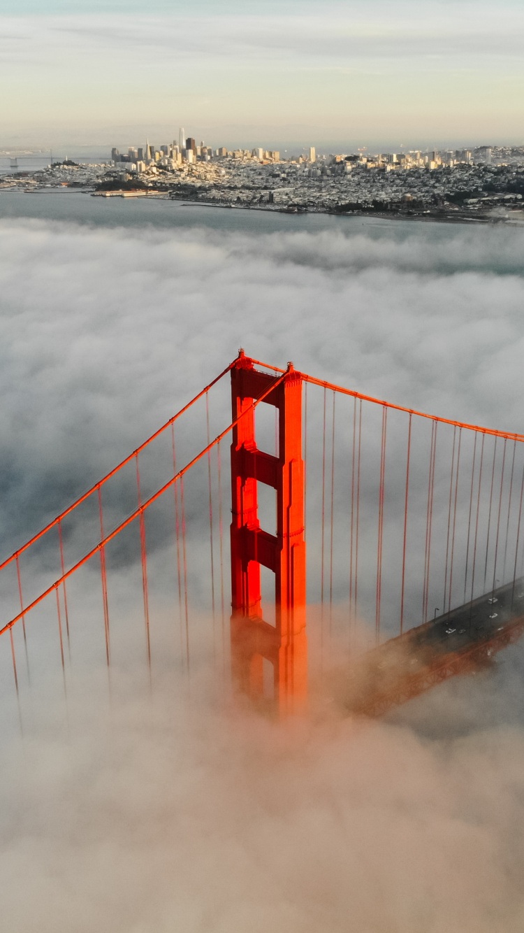 Обои вода, море, мост, волна, океан в разрешении 750x1334