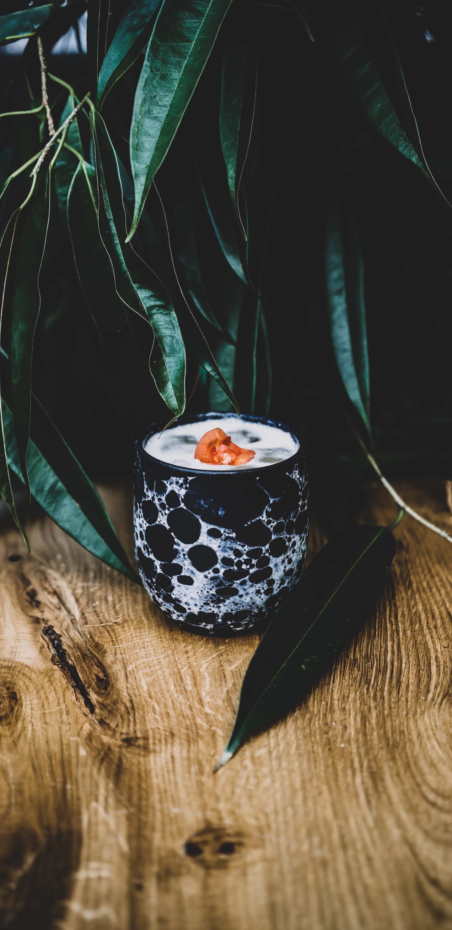 Обои натюрморт, чашка, Рангпур, Клементина, древесина в разрешении 1440x2960