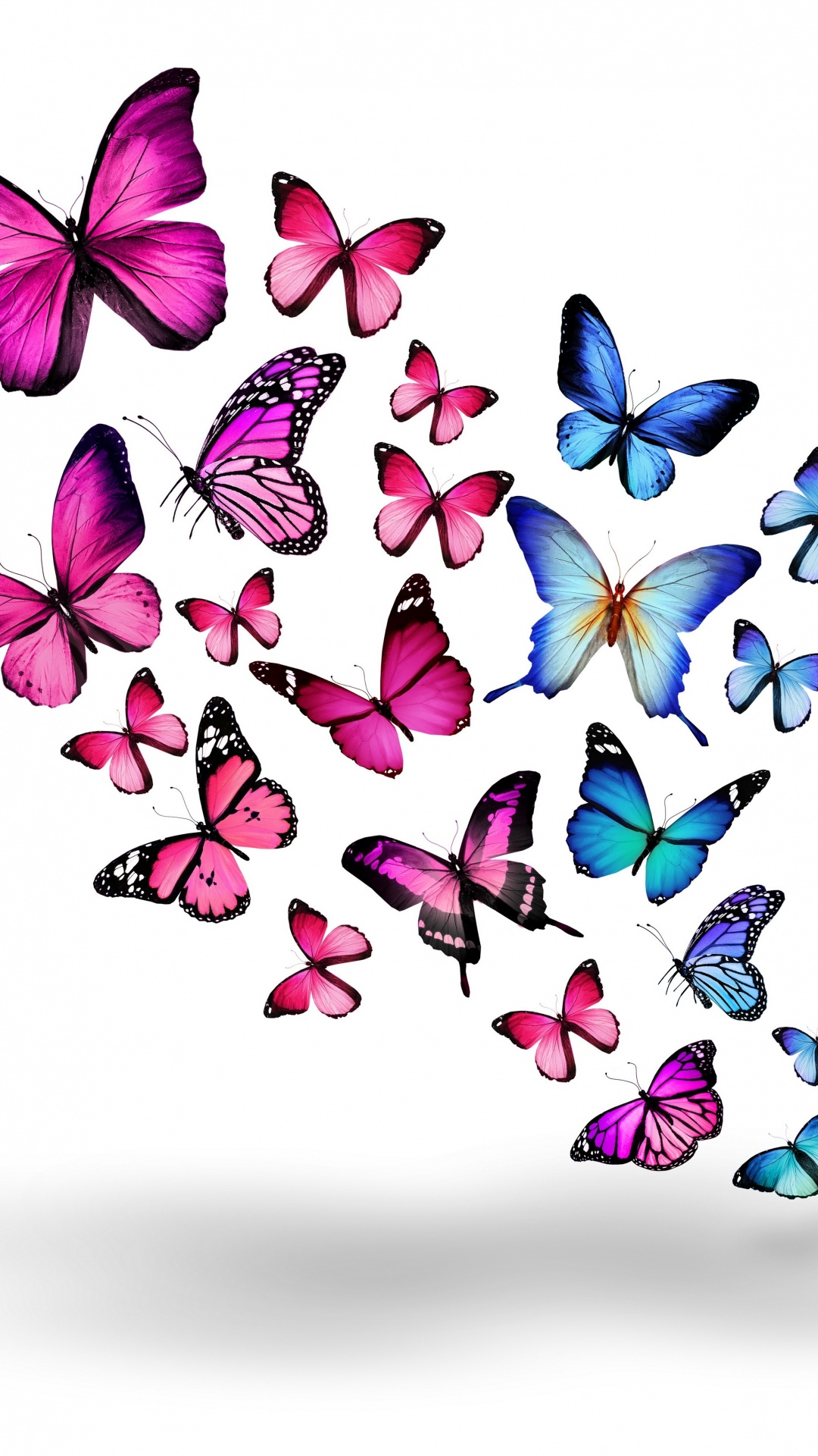 Обои бабочка, пурпур, мотыльки и бабочки, насекомое, опылитель в разрешении 1080x1920