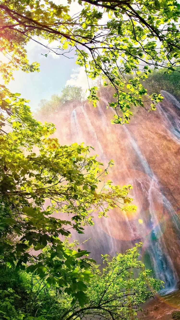 Обои водопад, природный ландшафт, природа, растительность, вода в разрешении 750x1334