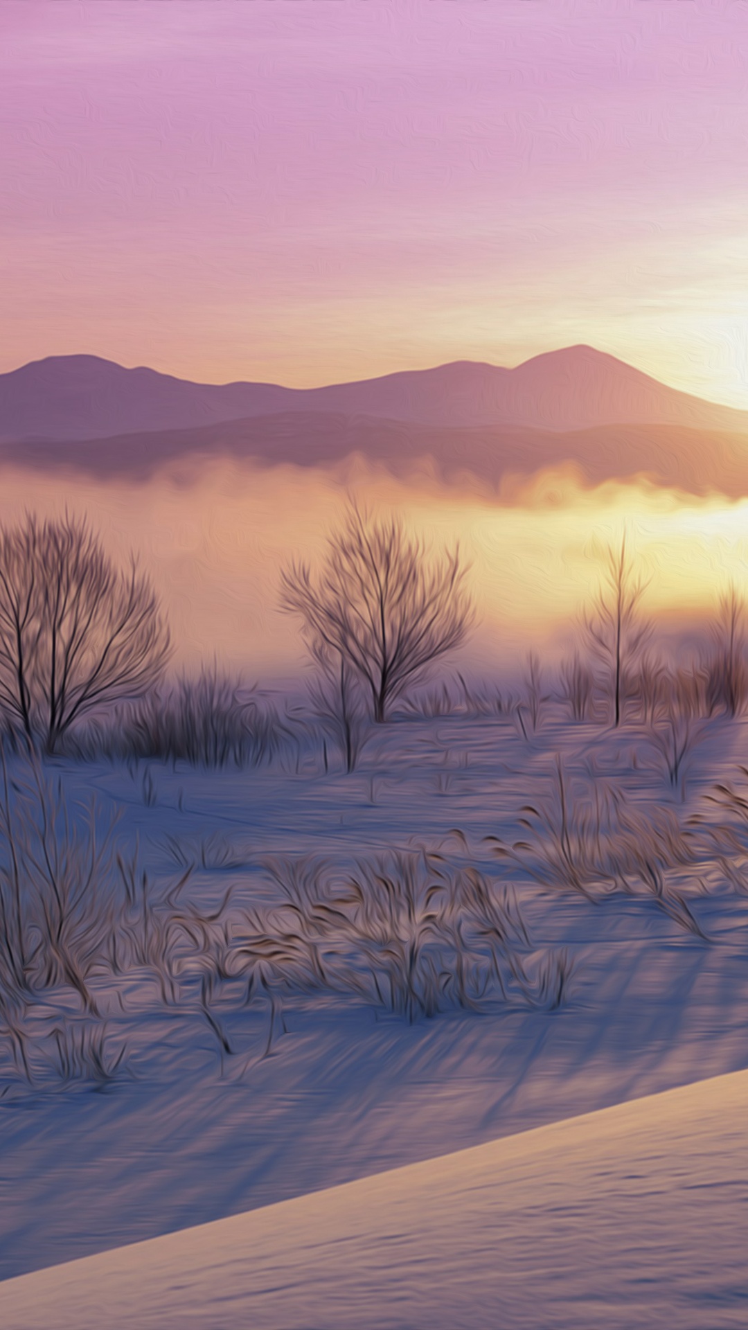 Обои зима, снег, утро, замораживание, восход солнца в разрешении 1080x1920