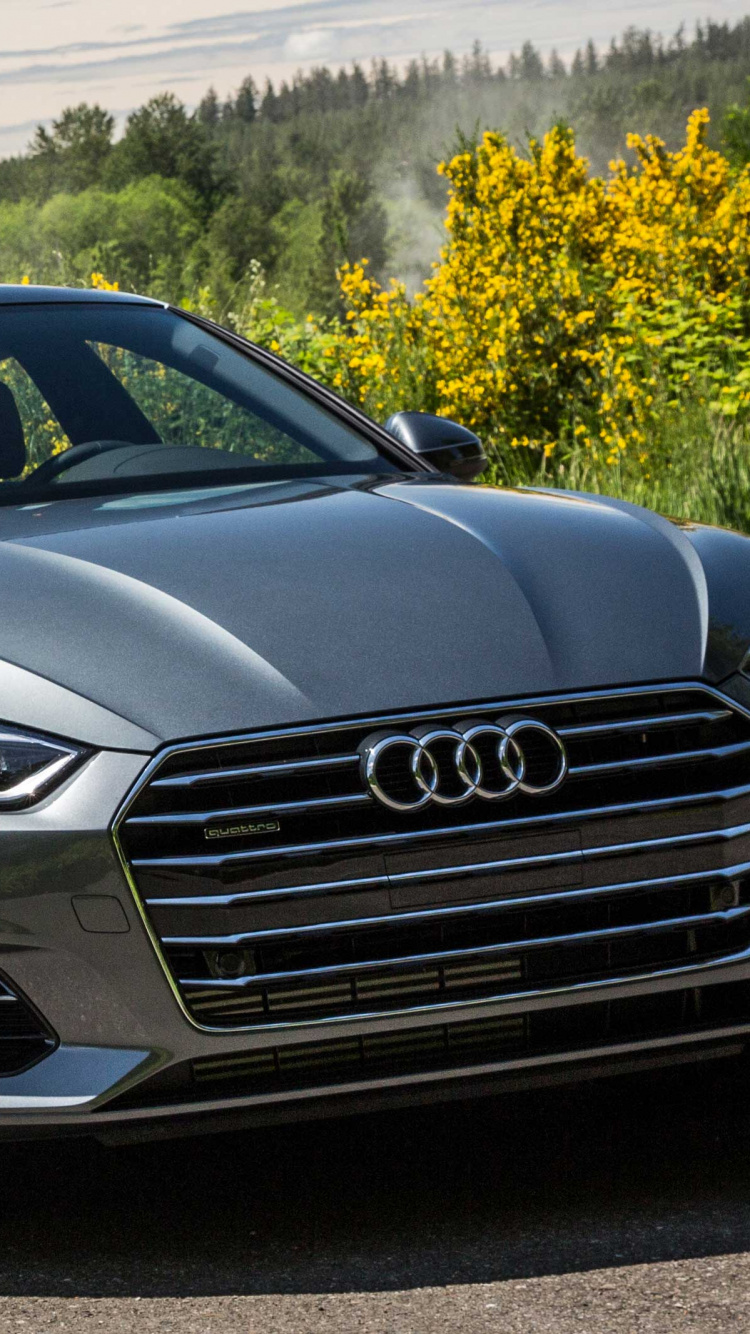 Обои авто, audi s5, audi, обод, семейный автомобиль в разрешении 750x1334