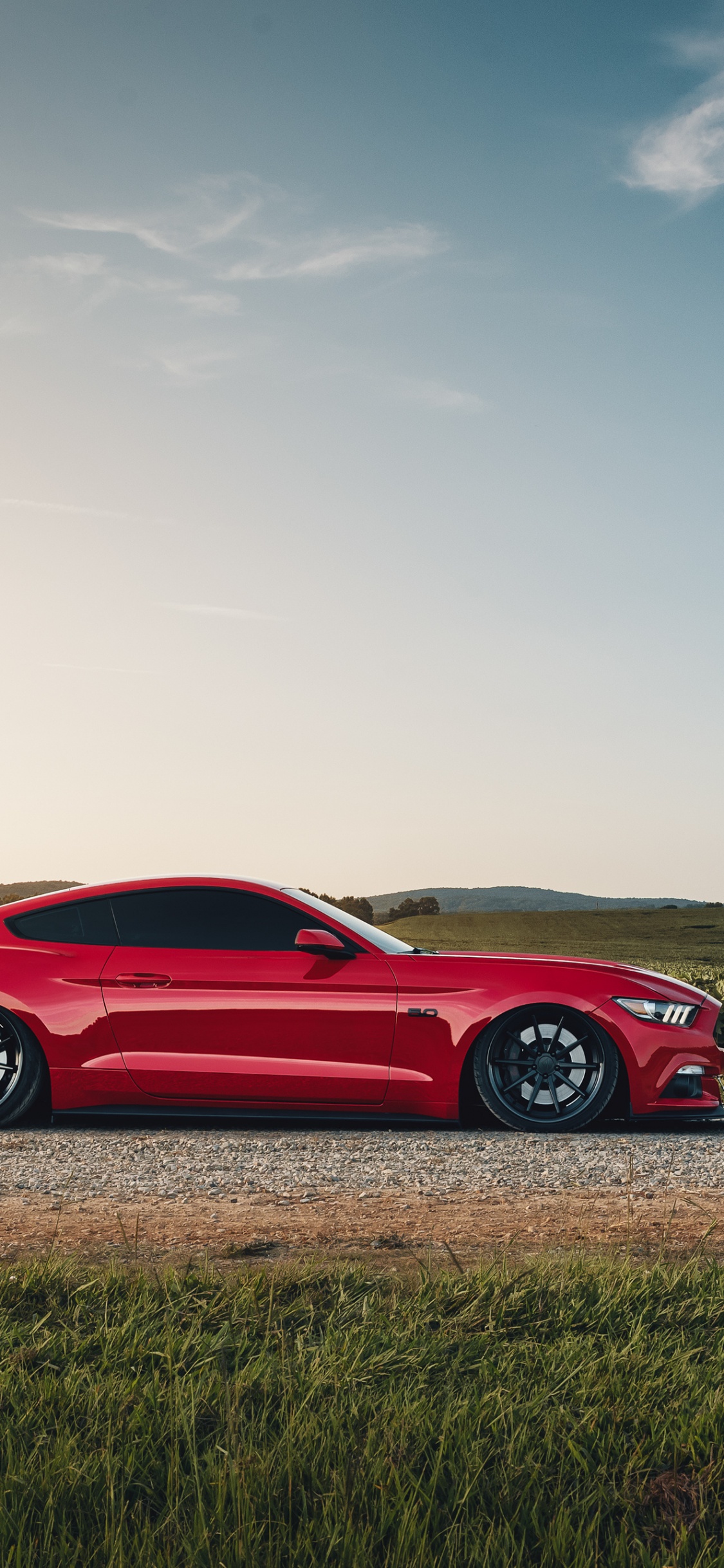 Обои спорткар, Форд Мустанг, авто, Шелби Мустанг, компания Ford в разрешении 1125x2436