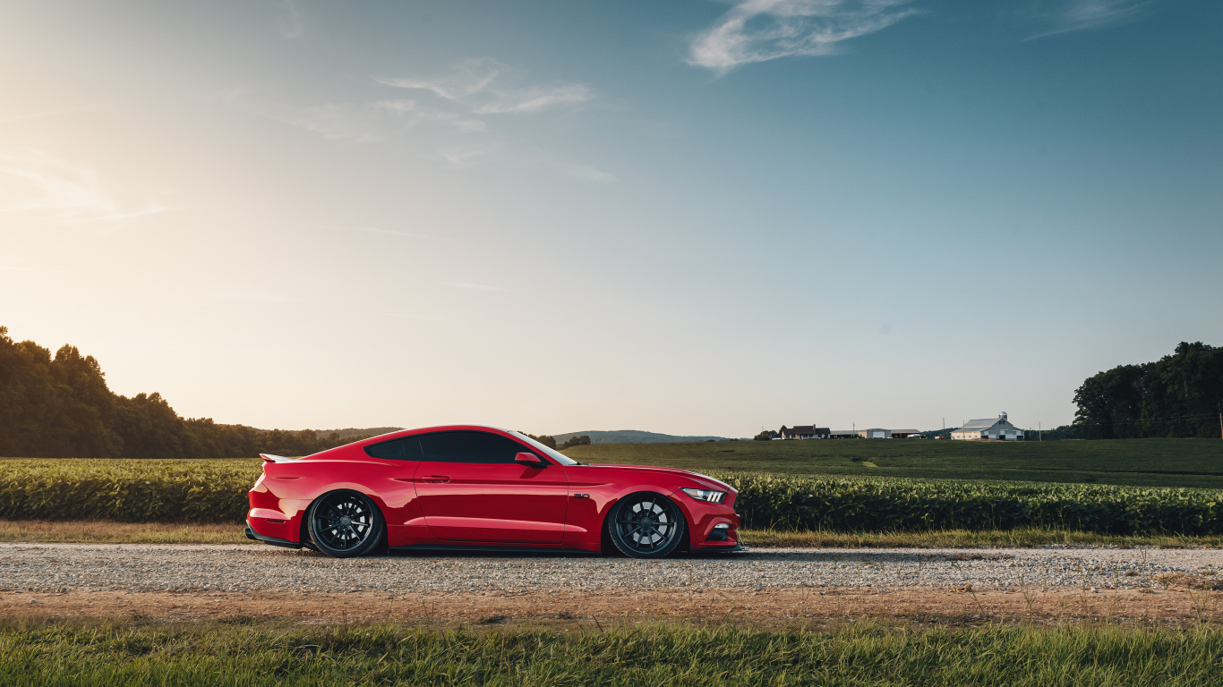 Обои спорткар, Форд Мустанг, авто, Шелби Мустанг, компания Ford в разрешении 1366x768