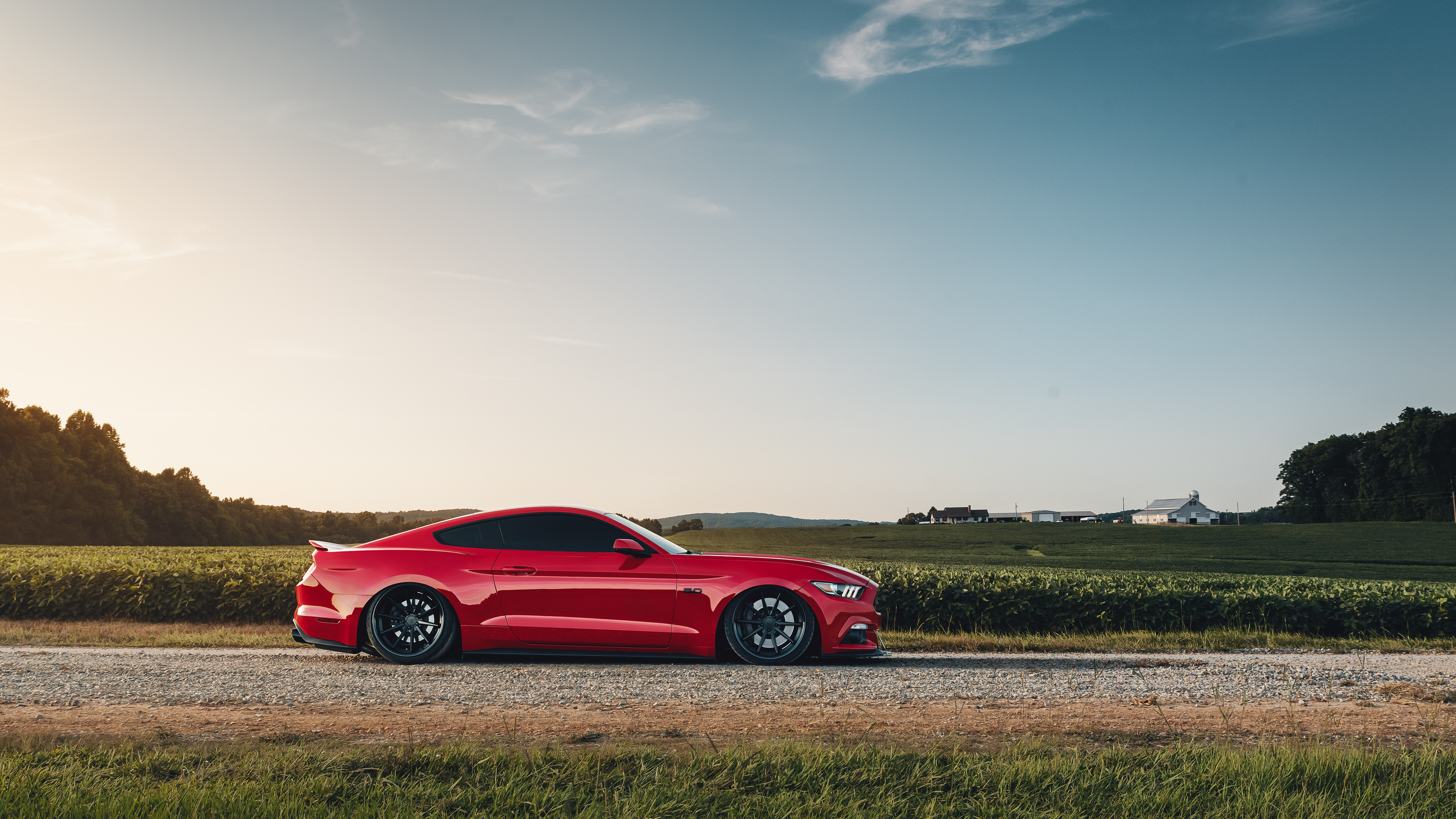 Обои спорткар, Форд Мустанг, авто, Шелби Мустанг, компания Ford в разрешении 3840x2160