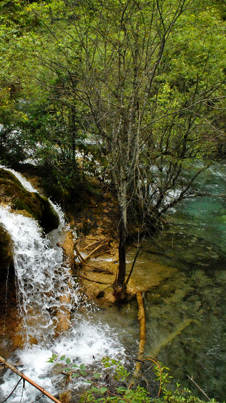 Обои природа, природный заповедник, водопад, водоем, гидроресурсы в разрешении 750x1334