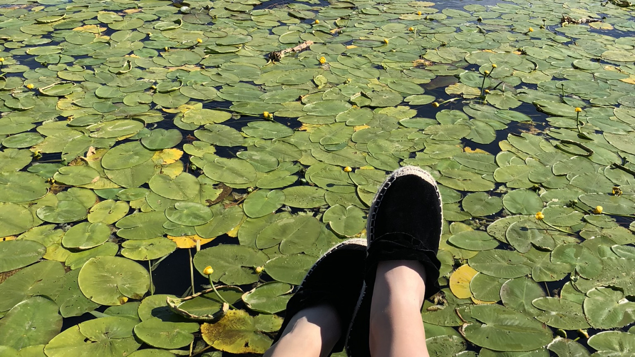 Обои вода, человек, гидроресурсы, лист, Люди в природе в разрешении 1280x720