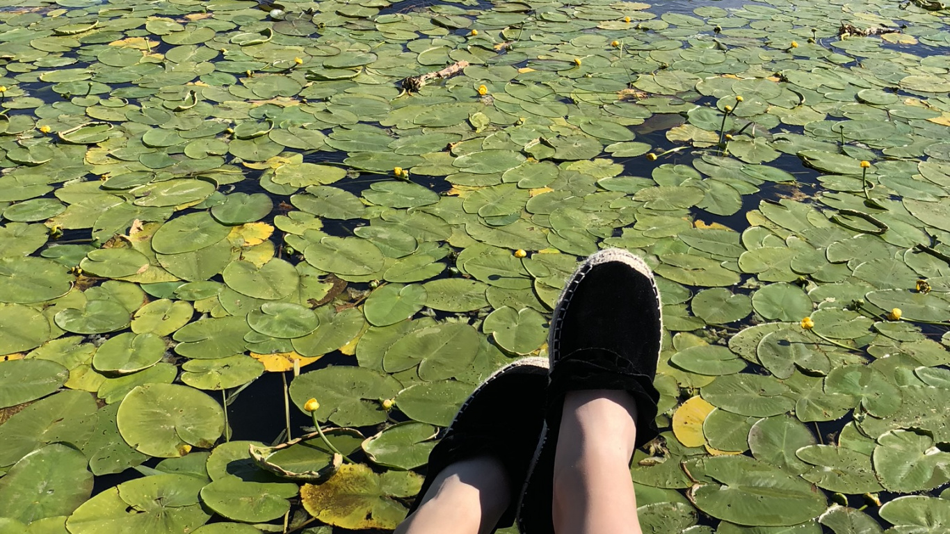 Обои вода, человек, гидроресурсы, лист, Люди в природе в разрешении 1366x768