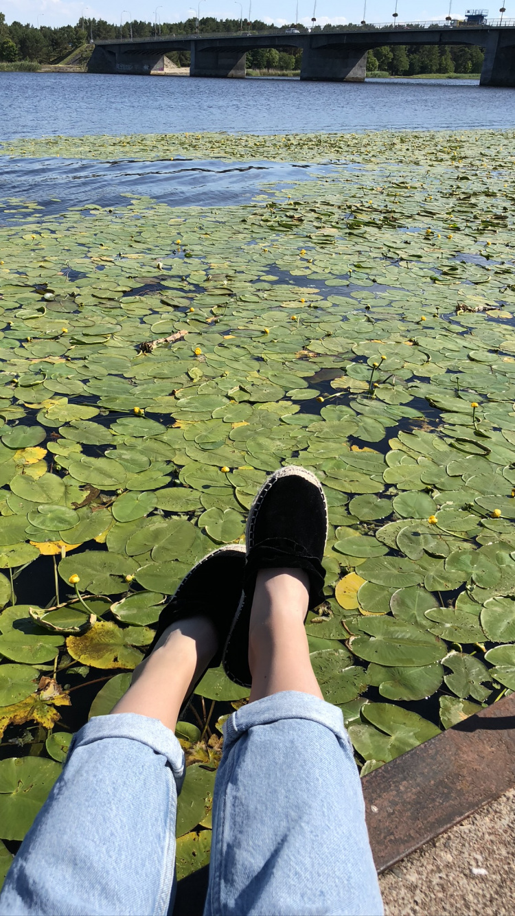 Обои вода, человек, гидроресурсы, лист, Люди в природе в разрешении 750x1334