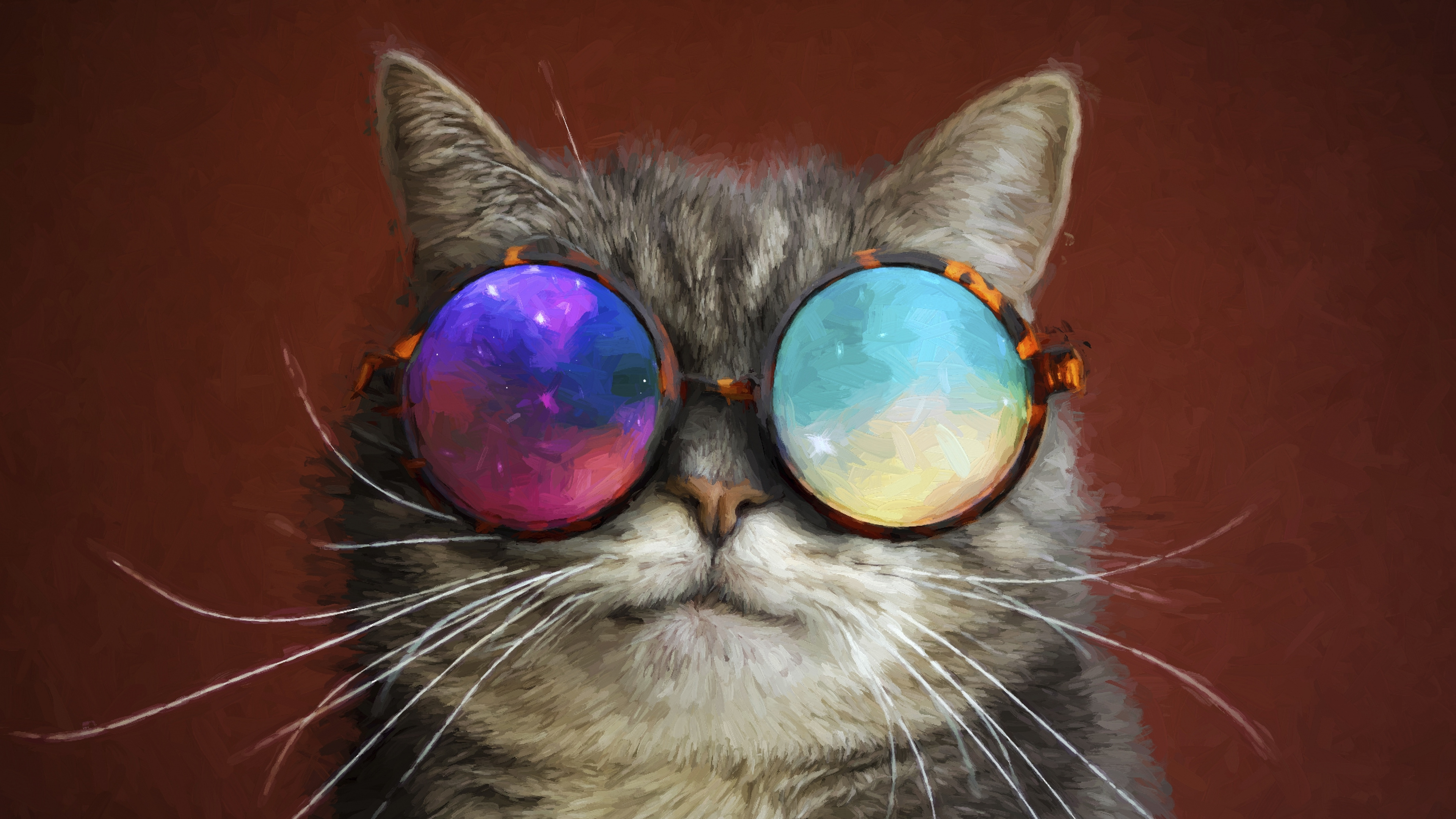 Обои Кошачий глаз очки, бакенбарды, кот, кошачьих, нос в разрешении 3840x2160