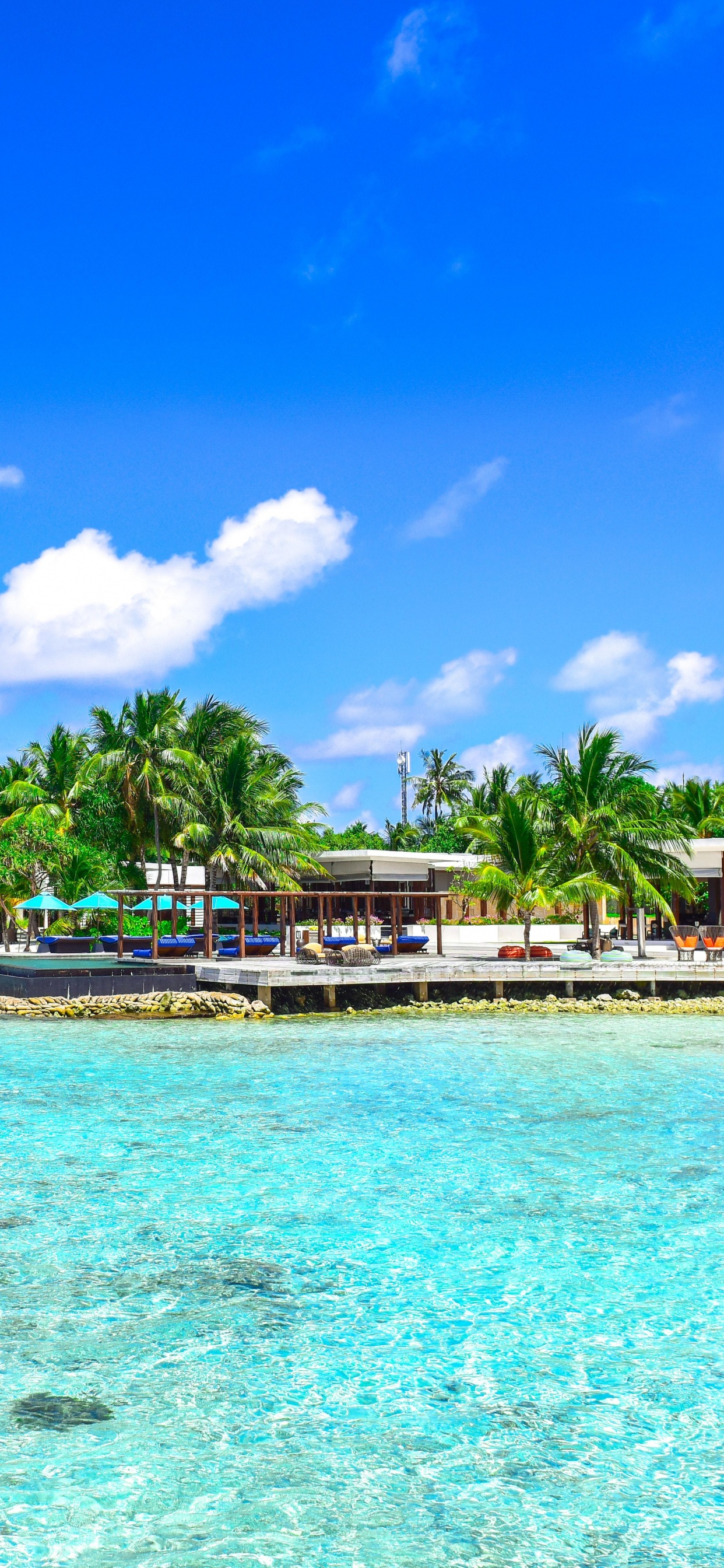 Обои прибежище, тропическая зона, море, Карибский бассейн, прибрежные и океанические рельефы в разрешении 1242x2688