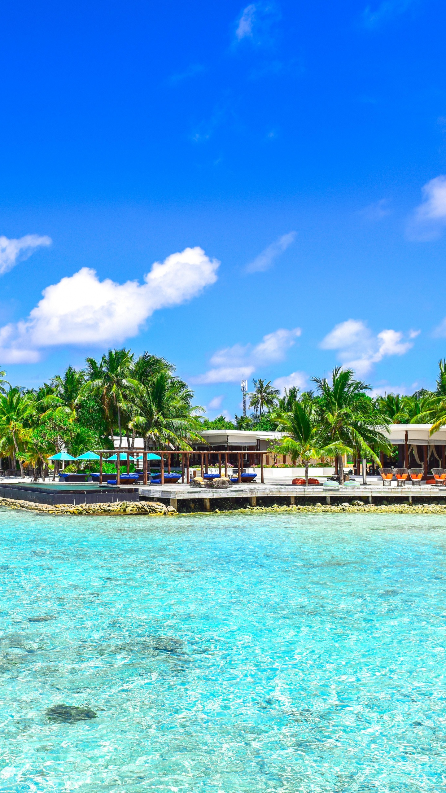 Обои прибежище, тропическая зона, море, Карибский бассейн, прибрежные и океанические рельефы в разрешении 1440x2560